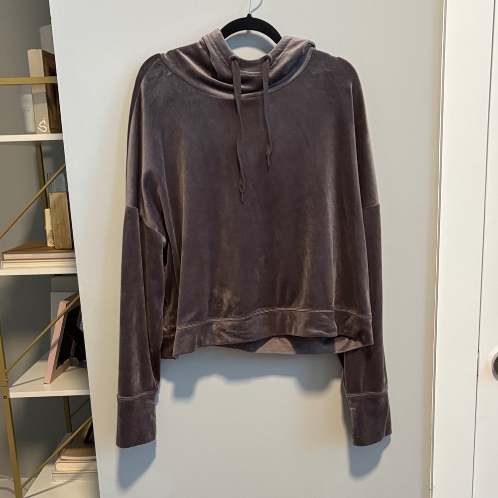 Aerie Plush Velvet Hoodie in Rich Brown